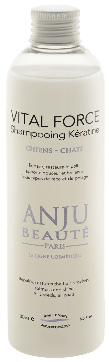  Anju Beaute        Vital Force Shampooing Keratine, 500 - Anju Beaute  <br><br><br>: 50418<br>: Anju Beaute<br>  (): 0,5<br>-: <br>  (): 0,5<br> : 