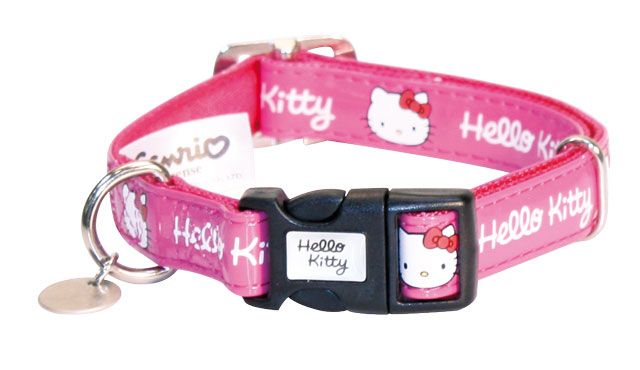 Hello kitty 15