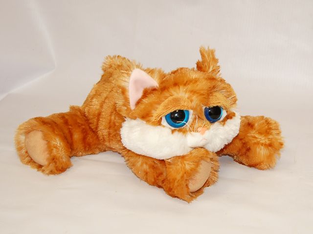 Глаза кота игрушка. Plush Apple Soft Toy. Игрушки Plush Apple кот. Игрушка Plush Apple Soft Toy. Plush Apple Soft Toy котенок.