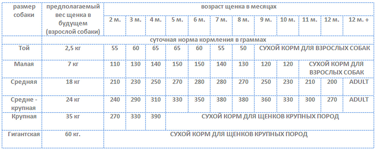 Таблица корма для собак по возрасту