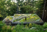 Эко-крыши на вашей даче: интересные идеи зеленых крыш