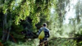 Что делать, если заблудился в лесу? 5 простых правил