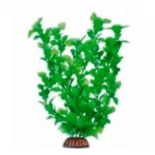 Купить Растение "Triton" пласт. "Людвигия зеленая", 29 см   (2978) в интернет-магазине Ravta – самая низкая цена