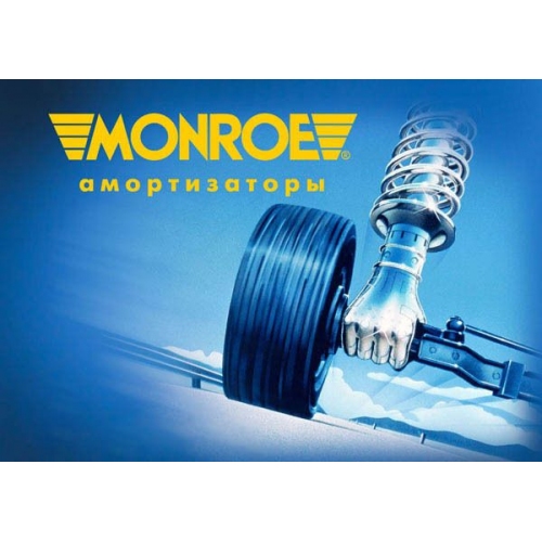 Купить (G16449) Monroe Амортизатор CITROEN C3 02- F(R) в интернет-магазине Ravta – самая низкая цена