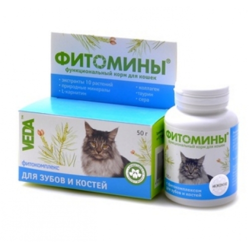 Купить Веда Фитомины для Зубов и Костей (кошка), 100таб. в интернет-магазине Ravta – самая низкая цена
