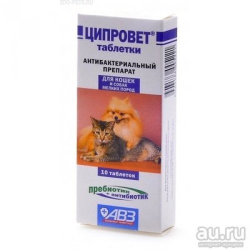 Купить АВЗ Ципровет антибактериальный препарат для кошек, щенков и мелких собак 10таб в интернет-магазине Ravta – самая низкая цена