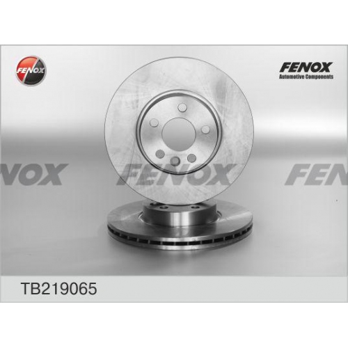 Купить TB219065 FENOX Тормозной диск в интернет-магазине Ravta – самая низкая цена