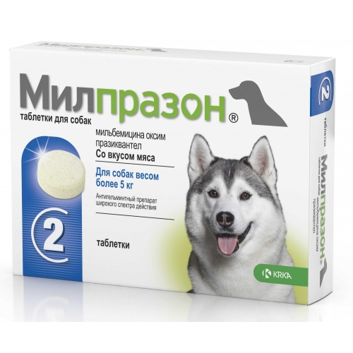 Купить Милпразон антигельминтик д/собак крупных пород 2таб в интернет-магазине Ravta – самая низкая цена
