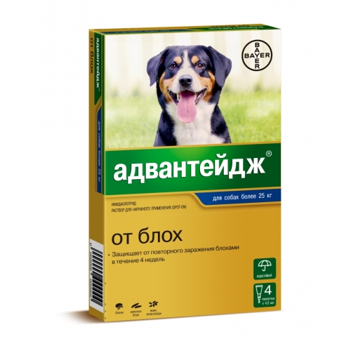 Купить Адвантейдж для собак более 25 кг (4 х 4 мл) в интернет-магазине Ravta – самая низкая цена