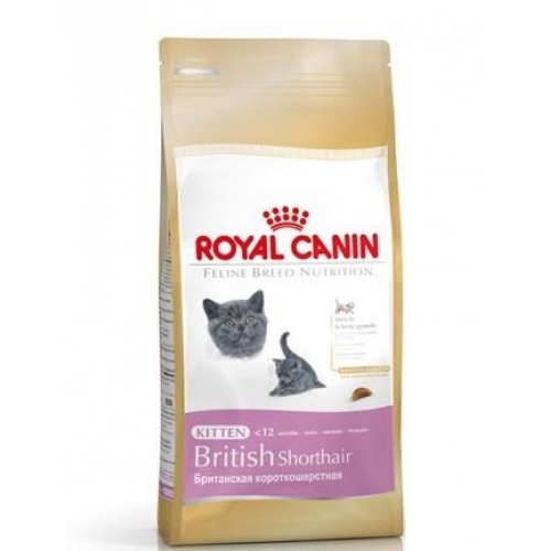 Купить Корм Royal Canin Kitten British Shorthair сух.д/британских короткошерстных котят 2кг в интернет-магазине Ravta – самая низкая цена