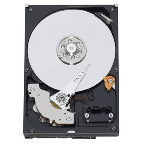 Купить Жесткий диск Western Digital WDBAAY0030HNC-ERSN (3000Gb) в интернет-магазине Ravta – самая низкая цена