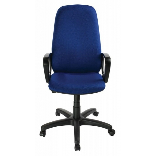 Купить Кресло руководителя Бюрократ CH-808AXSN/TW-10 синий в интернет-магазине Ravta – самая низкая цена