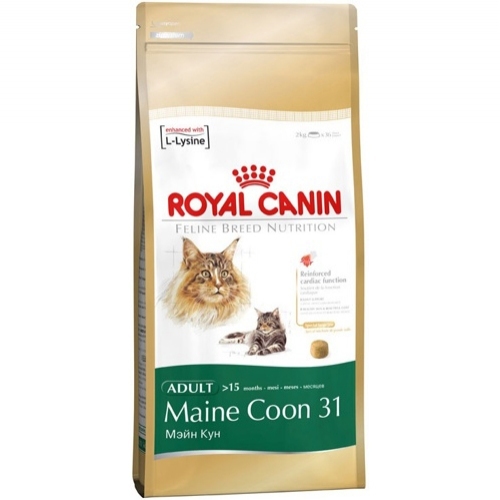 Купить Роял Канин 82347 Adult Maine Coon сух.д/кошек породы Мэйн Кун 10кг в интернет-магазине Ravta – самая низкая цена
