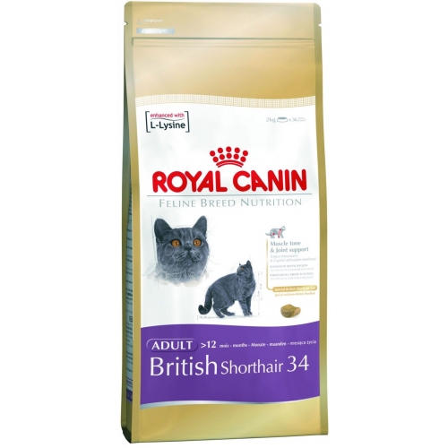 Купить Корм Royal Canin British Shorthair 34 Британская короткошерстная 400г в интернет-магазине Ravta – самая низкая цена