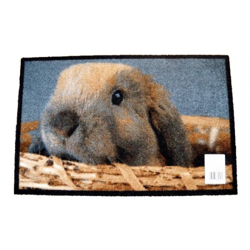 Купить Коврик Carpets Inter придверный Deco-Up Кролик 500*750мм 00026669 в интернет-магазине Ravta – самая низкая цена
