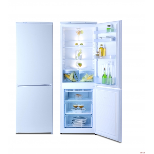 Купить Холодильник NORD 239-7-012 в интернет-магазине Ravta – самая низкая цена