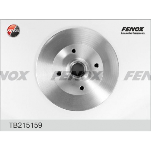 Купить (tb215159) Диск тормозной задний FENOX Seat/VW в интернет-магазине Ravta – самая низкая цена