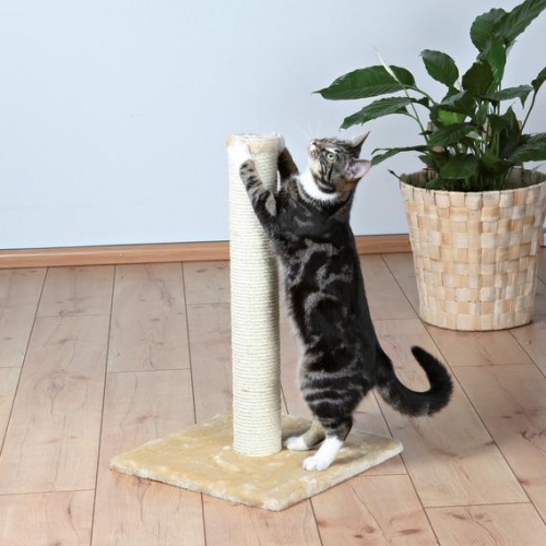 Купить Когтеточка TRIXIE для кошки "Parla" 62см, бежевый в интернет-магазине Ravta – самая низкая цена
