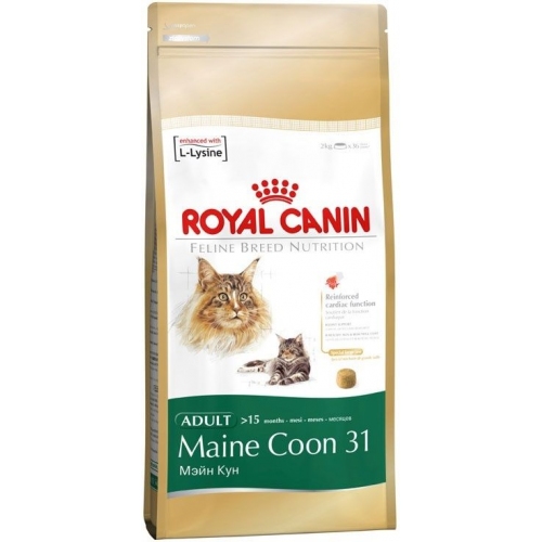 Купить Корм Royal Canin Maine Coon 31 для кошек породы Мэйн Кун 2кг в интернет-магазине Ravta – самая низкая цена