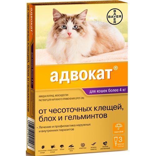 Купить Байер Адвокат антипаразитарный препарат д/кошек более 4кг 3пипетки*0,8мл в интернет-магазине Ravta – самая низкая цена