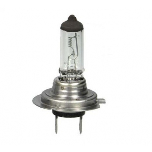 Купить 1987302041 Bosch Лампа накаливания, фара дальнего света; Лампа накаливания, основная фара; Лампа накаливания, противотуманная фара в интернет-магазине Ravta – самая низкая цена