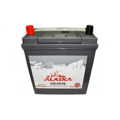 Купить ALASKA CMF 40 R 42B19 silver+ в интернет-магазине Ravta – самая низкая цена