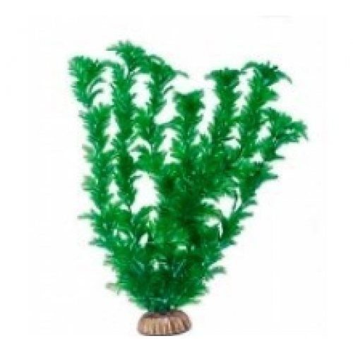 Купить Растение "Triton" пласт. "Элодея водная", 29 см  (2999) в интернет-магазине Ravta – самая низкая цена