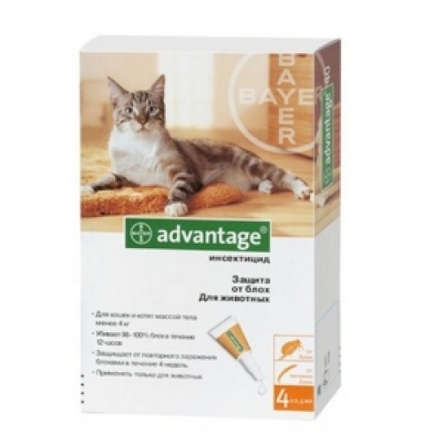 Купить Bayer Адвантейж Капли д/кошек до 4кг от блох, 4пипетки-13273 в интернет-магазине Ravta – самая низкая цена