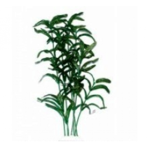 Купить Растение "Triton" пласт.   "Гигрофила индийская", 16 см     V2501/8193 в интернет-магазине Ravta – самая низкая цена