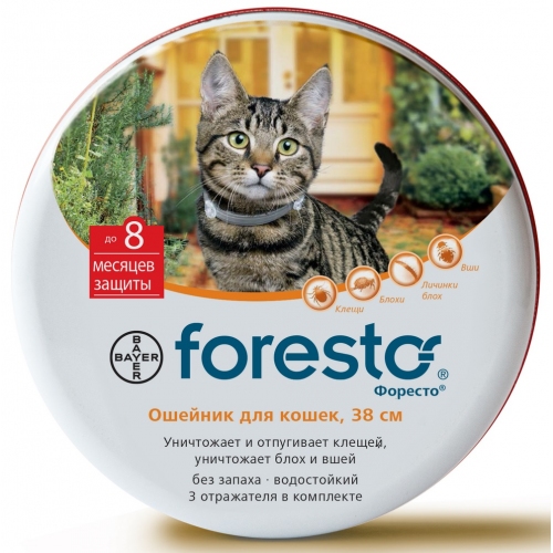 Купить Байер Форесто Ошейник д/кошек от клещей, блох и вшей, защита 8 месяцев 38см в интернет-магазине Ravta – самая низкая цена