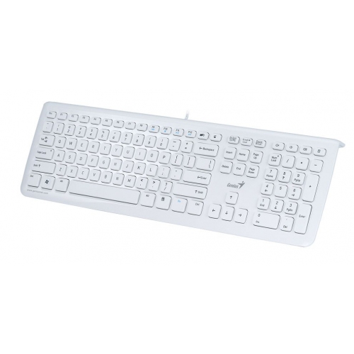 Купить Клавиатура Genius SlimStar i220 (белый) в интернет-магазине Ravta – самая низкая цена