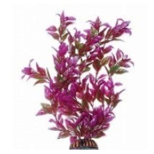 Купить Растение "Triton" пласт. "Альтернатера розовая", 29 см    (2973) в интернет-магазине Ravta – самая низкая цена