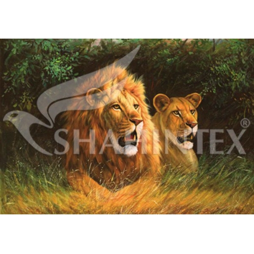 Купить Коврик универсальный Shahintex Spring Photoprint SH P121  1000*1450мм 00934343 в интернет-магазине Ravta – самая низкая цена