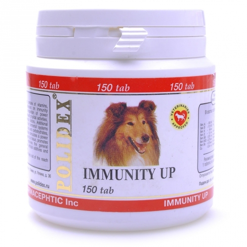 Купить Витамины для собак для повышения иммунитета Immunity Up, 150 таб. в интернет-магазине Ravta – самая низкая цена