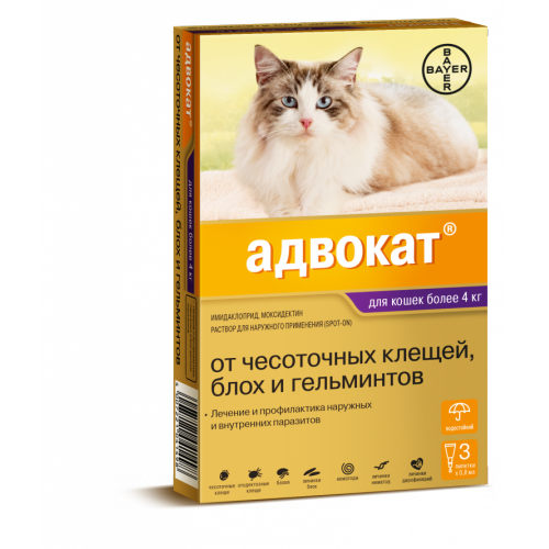Купить Байер Адвокат антипаразитарный препарат д/кошек до 4кг 3пипетки*0,4мл в интернет-магазине Ravta – самая низкая цена