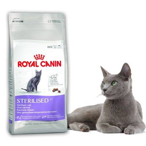 Купить Роял Канин 17707 Sterilised 37 сух.д/стерилизованных кошек 4кг в интернет-магазине Ravta – самая низкая цена