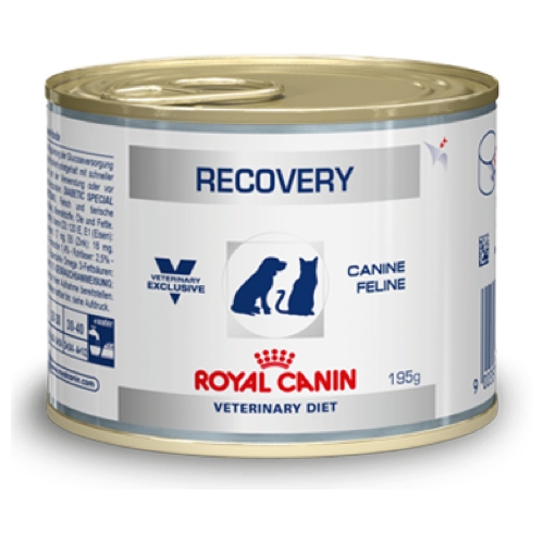 Купить Консервы Royal Canin Recovery для собак и кошек в восстановительный период после болезни 195г в интернет-магазине Ravta – самая низкая цена