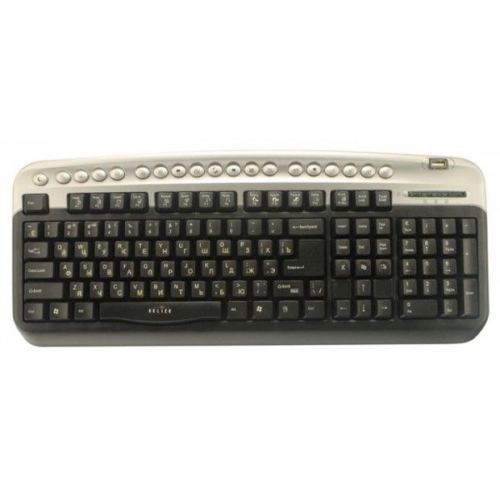 Купить Клавиатура Oklick 320M черн./серебро ммедиа (PS/2+USB)+ USB порт в интернет-магазине Ravta – самая низкая цена