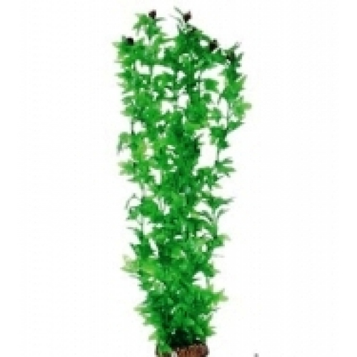 Купить Растение "Triton" пластмассовое, 55 см 5589 (К-Й) в интернет-магазине Ravta – самая низкая цена