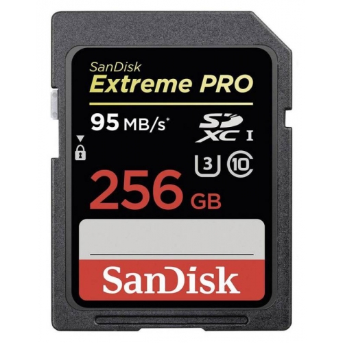 Купить Карта памяти Sandisk SDXC 256Gb Class10 (SDSDXPA-256G-G46) в интернет-магазине Ravta – самая низкая цена