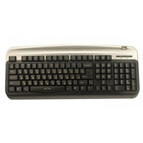 Купить Клавиатура Oklick 300M PS/2+USB (черный/серебристый ) в интернет-магазине Ravta – самая низкая цена