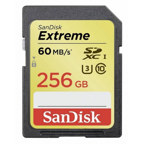 Купить Карта памяти Sandisk SDXC 256Gb Class10 (SDSDXN-256G-G46) в интернет-магазине Ravta – самая низкая цена