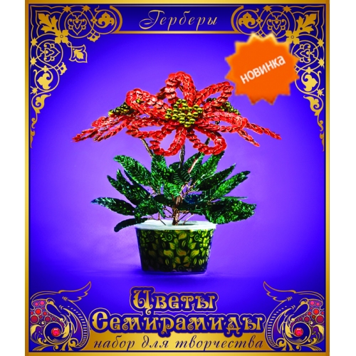 Купить Цветы Семирамиды. "Герберы" в интернет-магазине Ravta – самая низкая цена