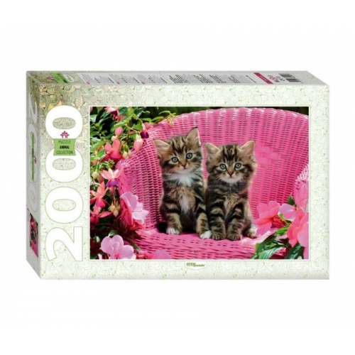 Купить Степ. Пазл 2000 арт.84044 "Милые котята" в интернет-магазине Ravta – самая низкая цена