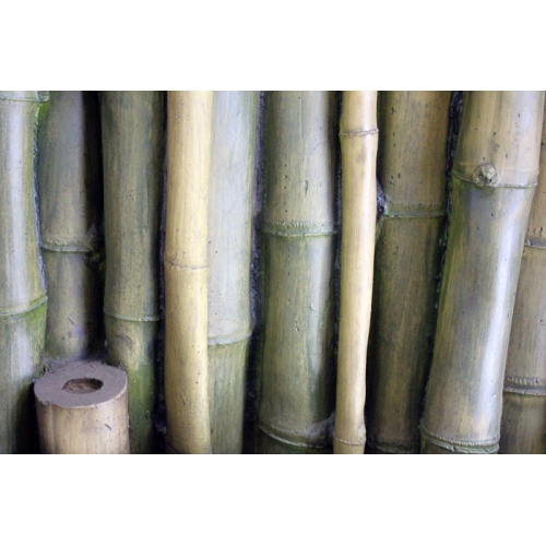 Купить Фон д/террариума "Бамбук вертикальный", 118х58 см в интернет-магазине Ravta – самая низкая цена