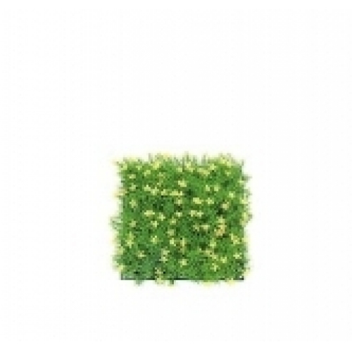 Купить Растение-коврик "Triton" пластмассовое, 25х25х5 см (0527) (К-Й) в интернет-магазине Ravta – самая низкая цена