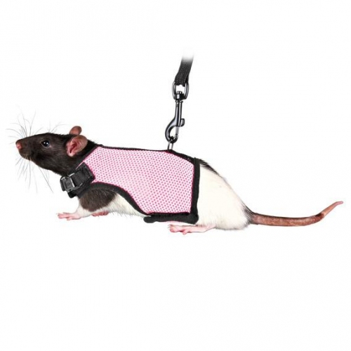 Купить Шлейка-жилетка с поводком д/крысы, 12-18 см + 1,2 м, нейлон, цвет в ассорт. в интернет-магазине Ravta – самая низкая цена