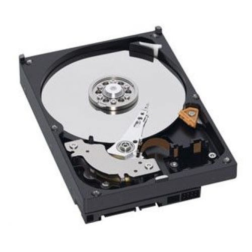 Купить Жесткий диск WD SATA-III 250Gb WD2500AAKX (7200rpm) 16Mb 3.5 в интернет-магазине Ravta – самая низкая цена