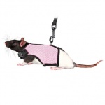 Шлейка-жилетка с поводком д/крысы, 12-18 см + 1,2 м, нейлон, цвет в ассорт.