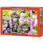 Castorland. Пазл 1000 арт.C-104086 "Котята в летнем саду"